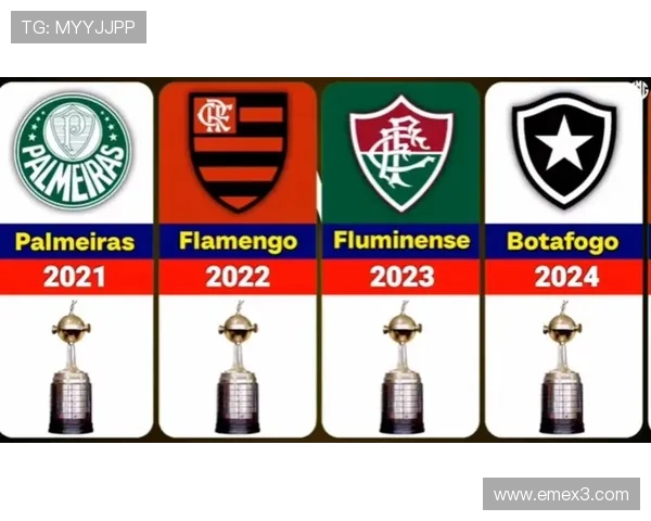 南美杯最新冠军归属及夺冠历程分析