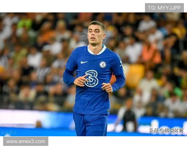 赖斯是否只是纯防守型中场？战术角色与全能性解析